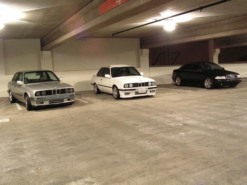 Does anyone have any white E30 trim painted BMWs